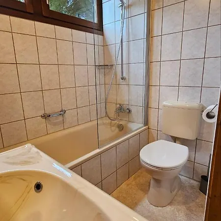 Σαλέ In Freilingen Mit Seenaehe Mitten In Der Blankenheim (North Rhine-Westphalia)